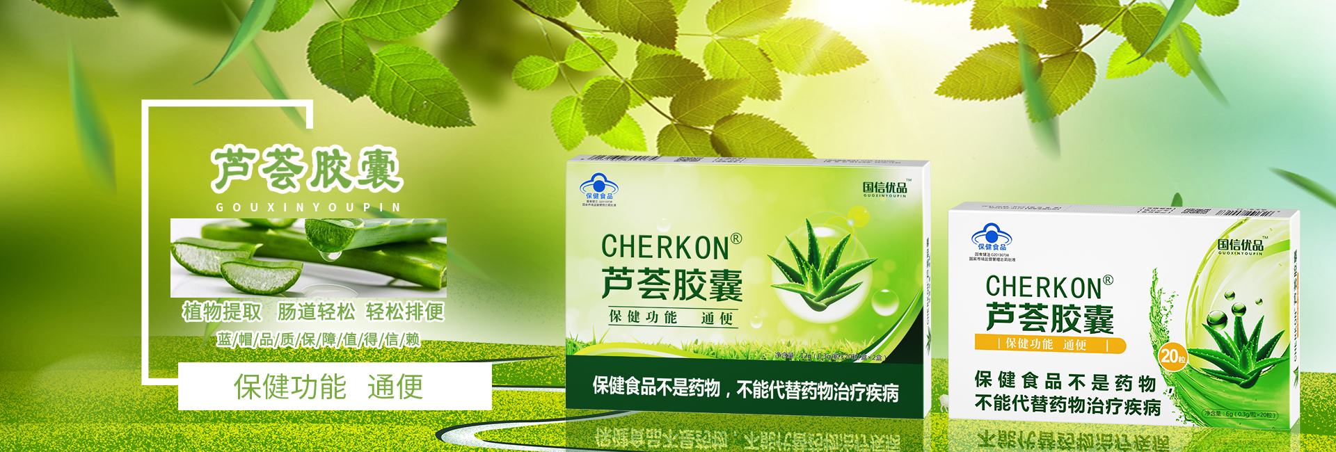 保健食品：芦荟胶囊